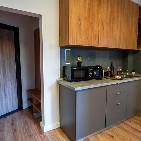 Cozy Near Calea Victoriei *