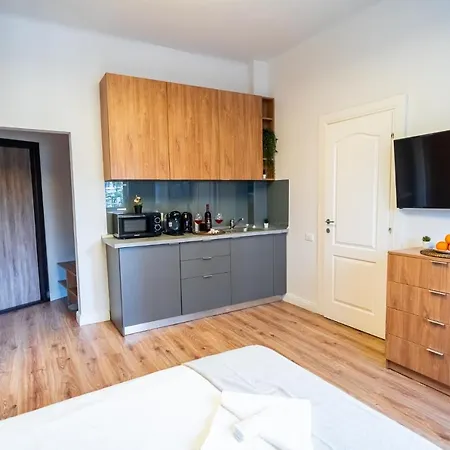 Cozy Near Calea Victoriei Apartment Bukarest