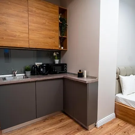 Cozy Near Calea Victoriei Διαμέρισμα