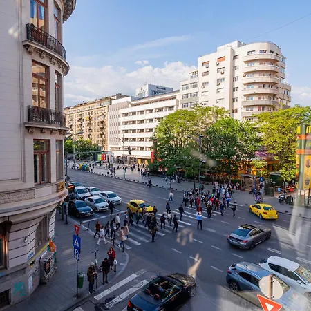 Cozy Near Calea Victoriei Appartement